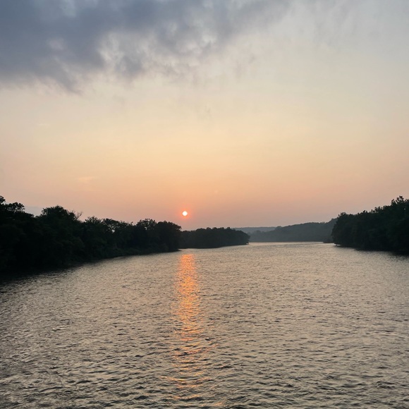 Meet your Posher, Maya - Picture 1 of 1